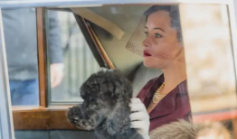 厦门吃瓜爆料渣男渣女,渣男渣女吃瓜爆料，揭秘都市情感漩涡